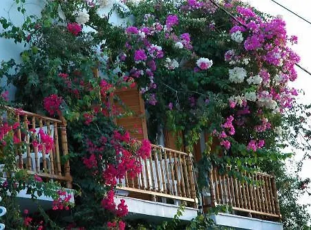 Hotel Arian Páros