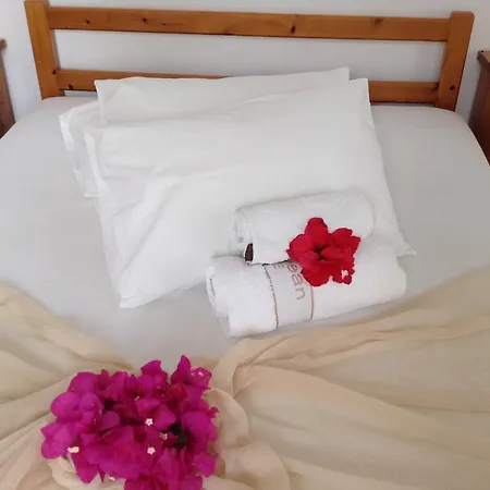 Hotel Arian