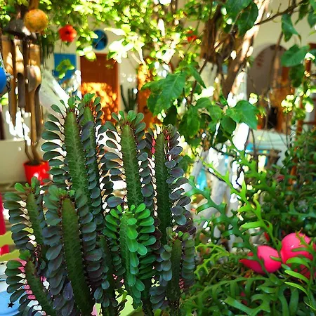 Hotel Arian Parikia (Paros)